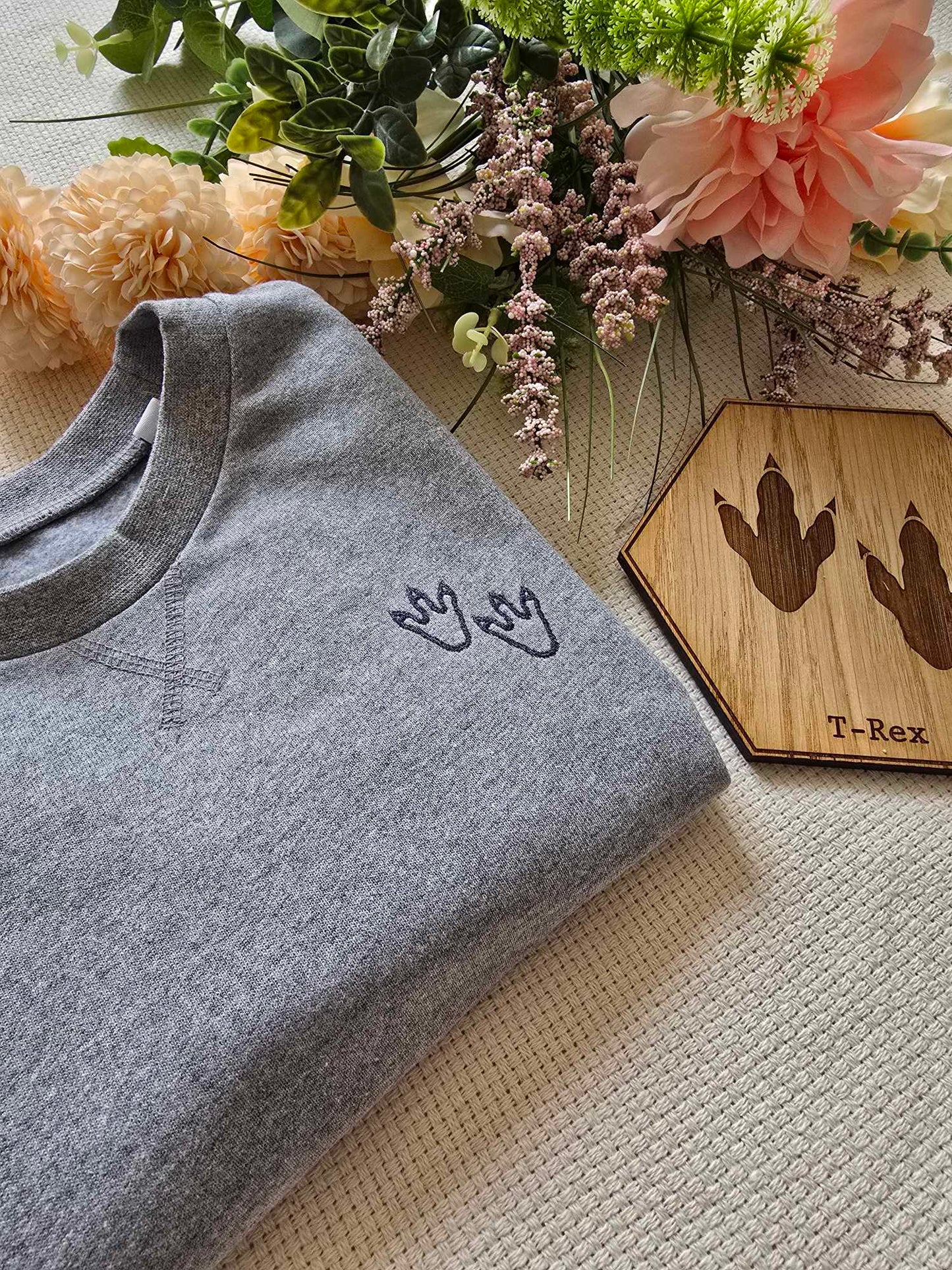 Dino Adventure Mini Sweatshirt/Hoodie