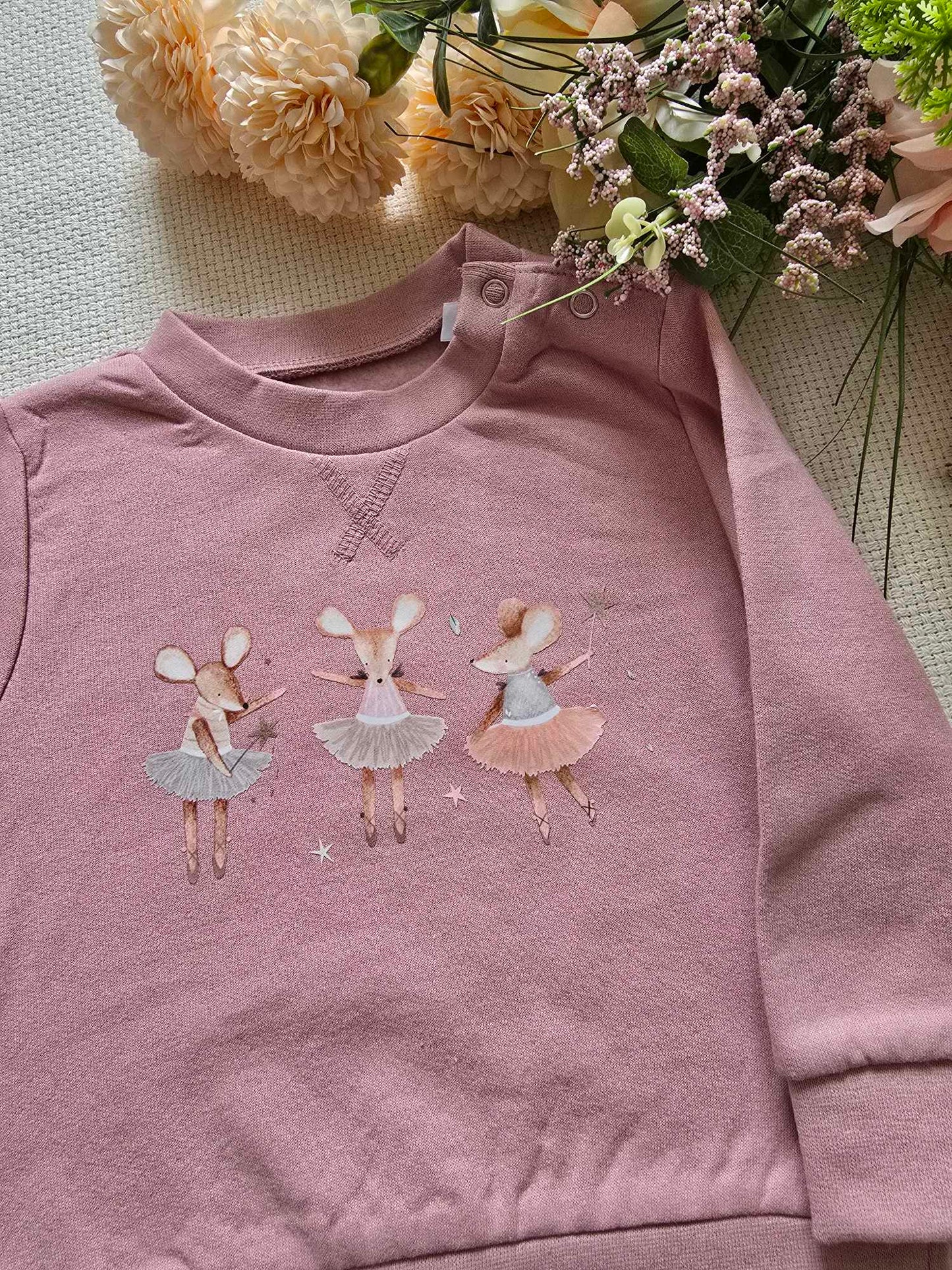 Ballet Mice Sweatshirt/Hoodie
